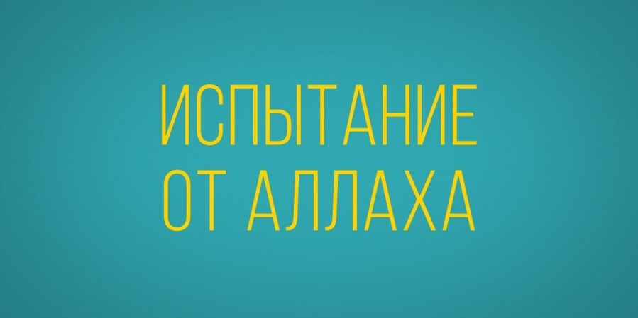 Или вы полагали, что войдёте в рай и вас не постигнет судьба тех, кто жил до вас?
