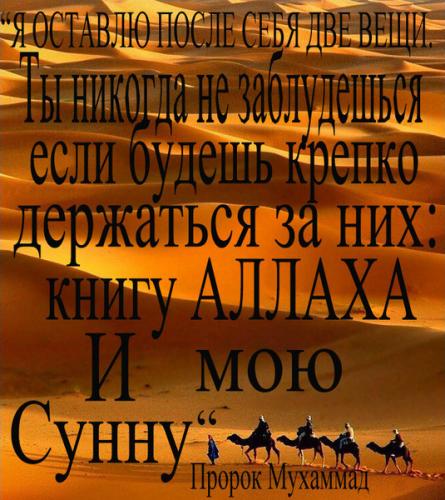 Должны ли мусульмане проводить маулид?