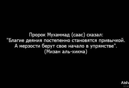 Наставление пророка (мир ему и благословение Аллаха) в совокуплении (джима)