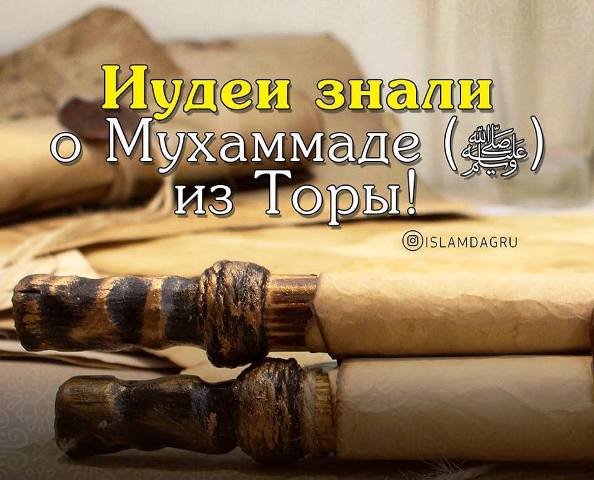 Иудеи знали о Пророке (мир ему и благословение Аллаха) из Торы