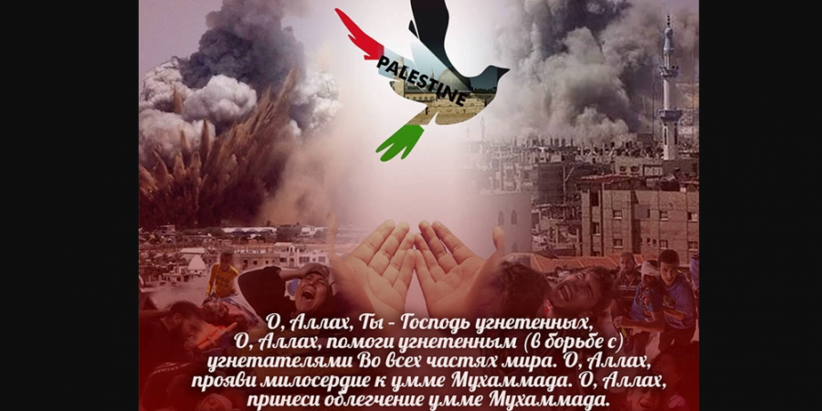 Исполнители нашидов поддерживают Газу, альхамдулилляхи