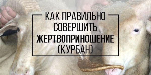 Можно ли поручить жертвоприношение людям писания?