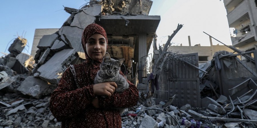 О Аллах помоги Газе / O Allah help Gaza / O Allah ndihmoje Gazёn