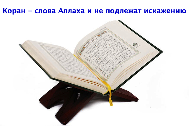 Ахыр Заман: Мусульман возмутил французский манифест о внесении правок в Коран