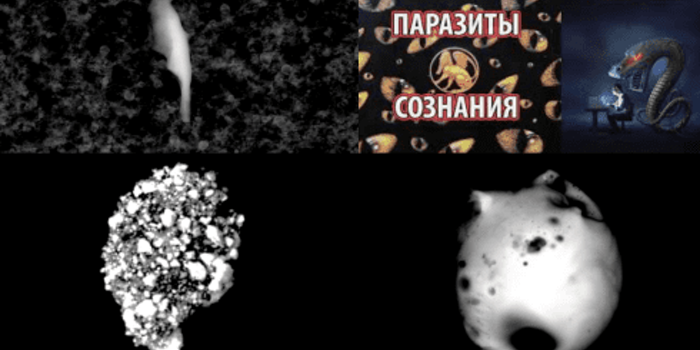 Парадоксальный всплеск заболеваемости COVID-19 на Западе