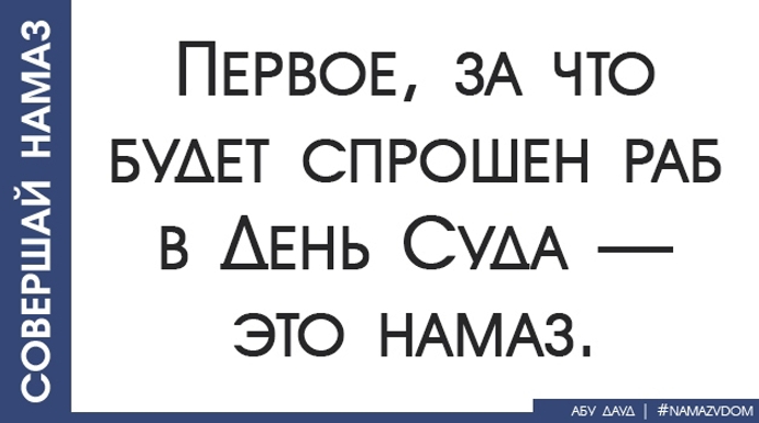 Имам Ибн Кайим Джаузия сказал: 