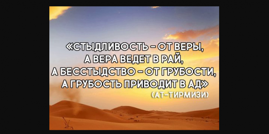 Стыдливость — качество, побуждающее поступать хорошо и избегать скверного...