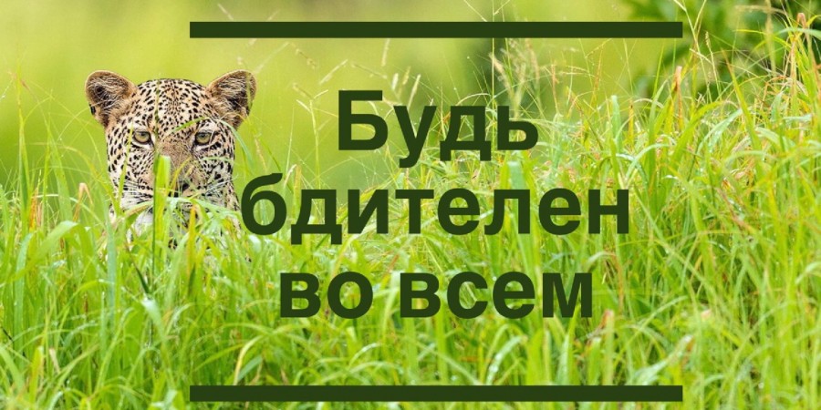О мусульманин, остерегайся активности, которая в итоге может привести к пассивности, нововведениям и грехам...