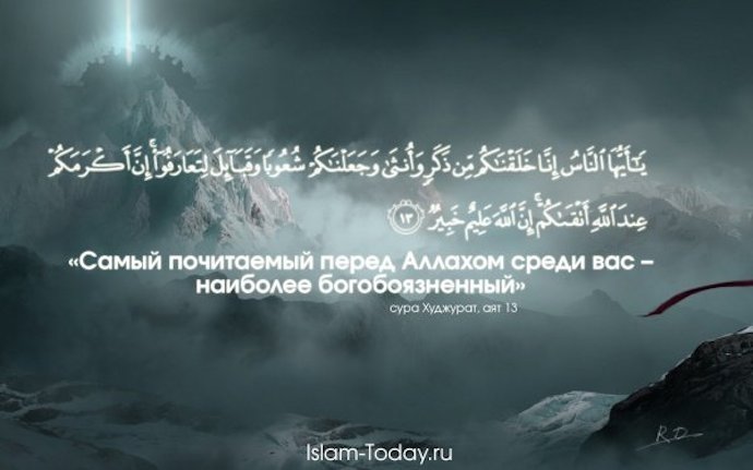 Не разочаровывайся в братьях