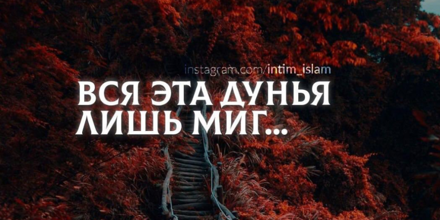 Для чего я живу? / What do I live for? / Pse jetoj?