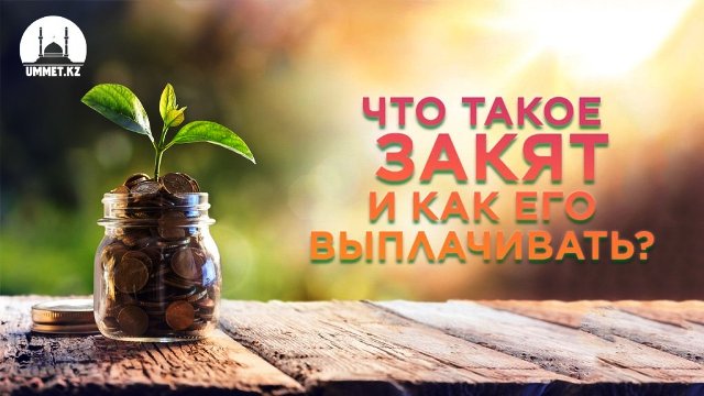 Все что надо знать о закяте