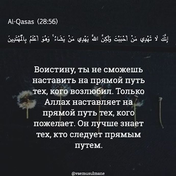 Всевышний оказал свою милость тому, кому дал понимание его религии