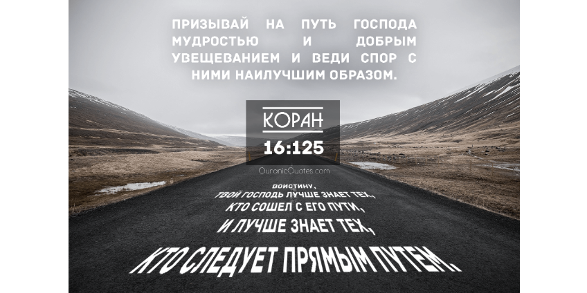 Искусство призыва к Исламу: мудрость, терпение и видение потенциала...