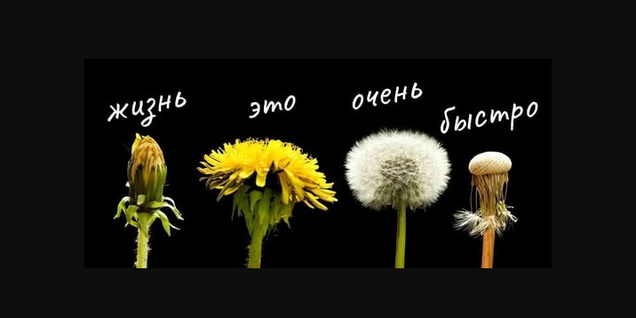 Мы пришли в эту жизнь и мы обязательно её покинем...