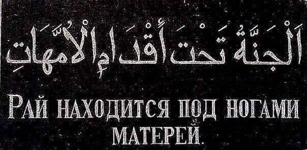 Увидел свою мать, и…