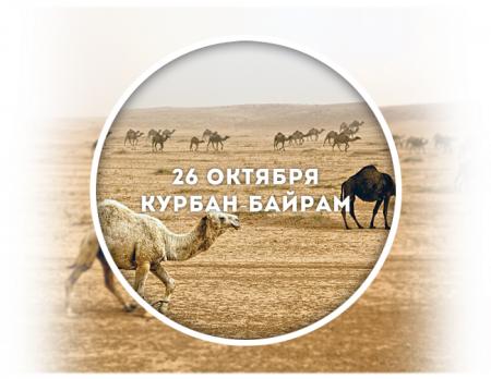 В день Арафат Курбан-байрам?