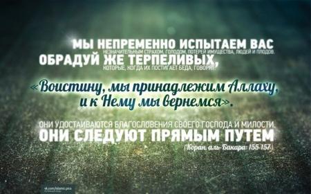 Опыт курайшитов в современной России