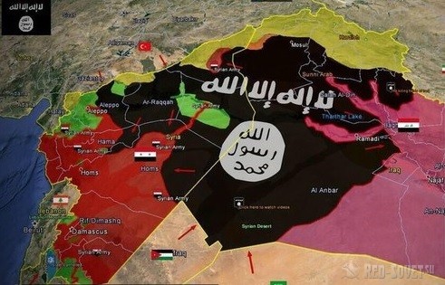 Кузбасские девушки находятся в Сирии