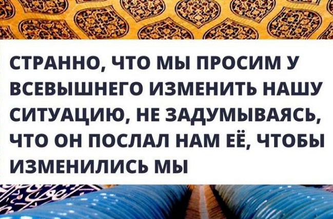 ​Надёжная рукоять