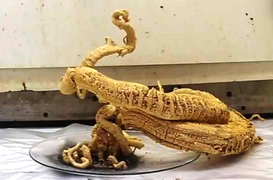 Научное открытие по мотивам аята из Корана