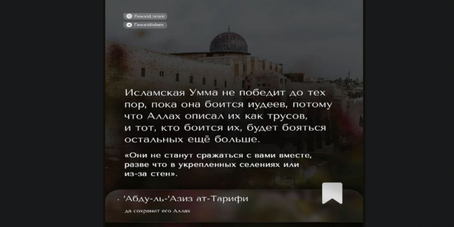 О Палестине, ХАМАС и не только