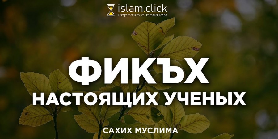 Фикх настоящих учёных