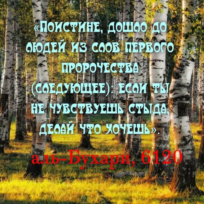 Если ты не чувствуешь стыда, делай что хочешь...