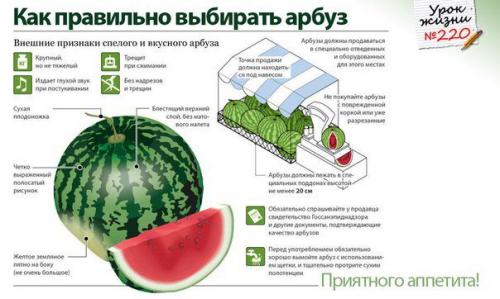 Как правильно выбрать арбуз...
