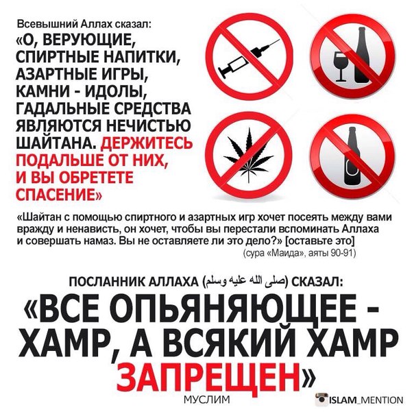 Опьянение есть добровольное сумасшествие