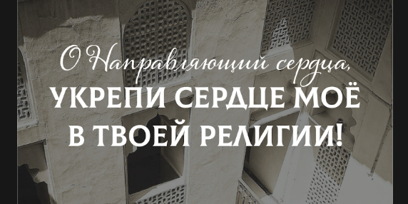 Знаете какая разница между взрослыми и молодыми?