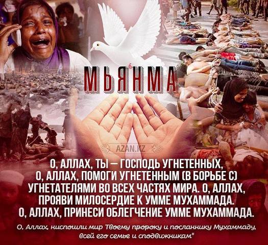 Репортаж Daily Storm из лагеря беженцев-рохинья в Бангладеш, сумевших пережить охоту на мусульман в Мьянме