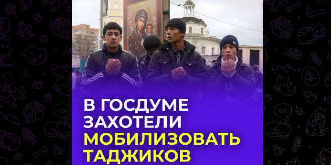 В Госдуме призвали отправлять в зону СВО «таджикские батальоны»