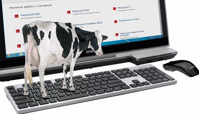 Обязательную электронную сертификацию товаров животного происхождения введут в Кузбассе