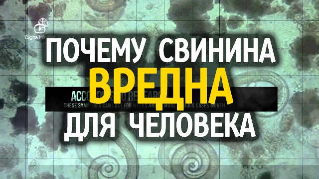 Вот что происходит внутри организма, когда вы съедаете свинину (медицинское видео)