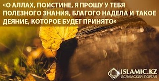 Ду'а пророка Мухаммада (Да благословит его Аллах и приветствует)
