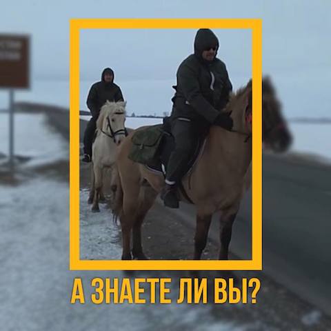 А знаете ли вы, что два жителя Башкортостана поехали в хадж на лошадях?