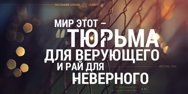 Этот мир тюрьма / This world is a prison / Kjo botё ёshtё njё burg