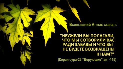 Эстония может разгневать Всевышнего