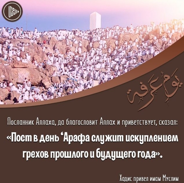 Распорядок для проведения дня «Арафа»