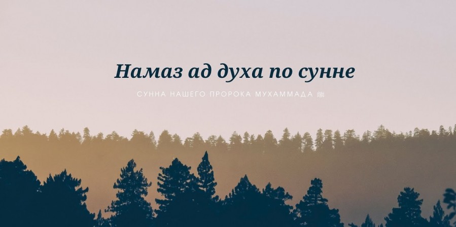 Сколько ракаатов совершается в намазе ад-Духа?