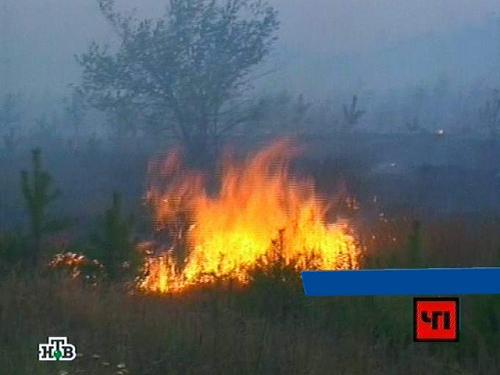 Пережившей наводнение Кубани грозят лесными пожарами