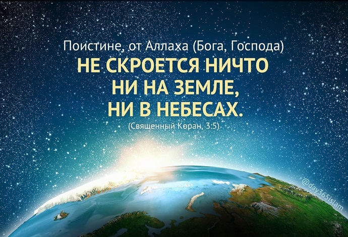 Корни уходят в землю