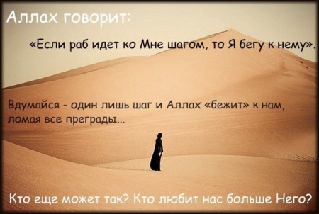 Ибн аль-Каййм сказал: