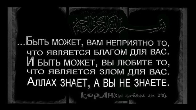 Цвет твоего дня