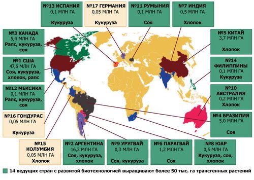 ГМО содержат частицы опасных вирусов