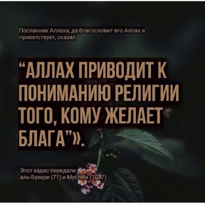 О том, кто просит научить его Писанию и мудрости