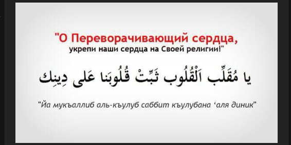 Что делать во время страха и смуты?