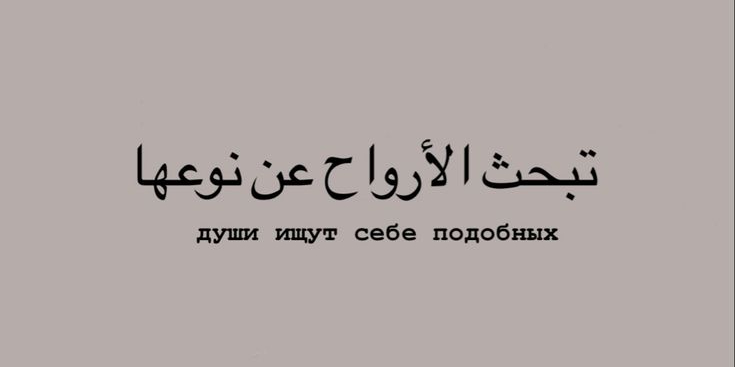 Праведные души тянутся к праведным, а нечестивые — к нечестивым...