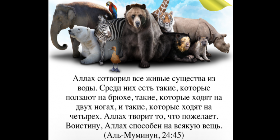 И каждому благоразумному человеку ясно, что он не сотворён ради забавы и не предоставлен самому себе...