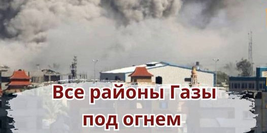 Они вносят вклад в истреблении Газы!